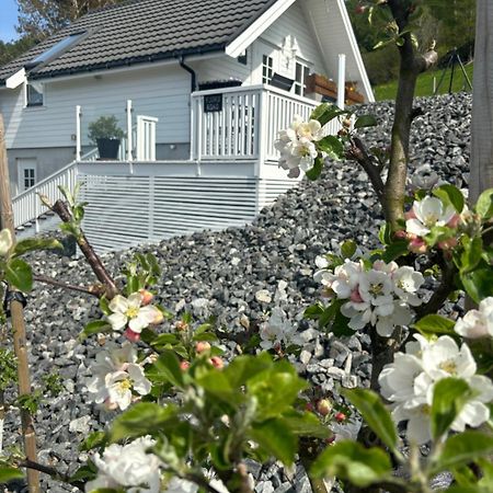 Fjord Road Lejlighed Hjelmeland Eksteriør billede