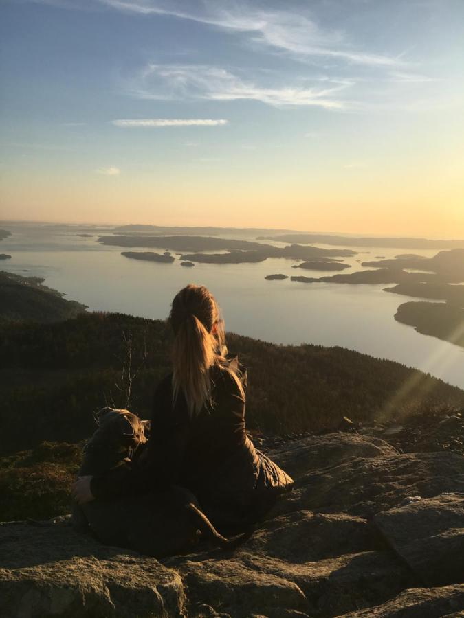 Fjord Road Lejlighed Hjelmeland Eksteriør billede